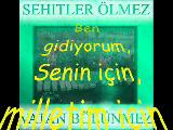 Sehitler Olmez Vatan Bolunmez