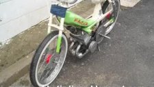 Motor Yarışı