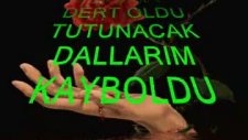 Hislerimden Üzüntüler