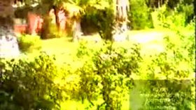 Seyfettin Sucu - Çiçekten Harman Olmaz Seyfettin Sucu - Çiçekten Harman Olmaz