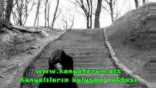 Ali Ayşeyi Seviyor Süper İzle Konyaforumbiz