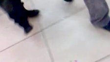 Dıyarbakır Halkının Özelduyunu