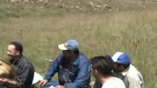 Golbat Armutlu 1.video