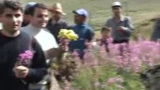 Golbat Armutlu 3.video
