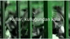 mehmet erarabacı - kaside bir garipsin dünyada