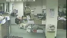 köpek 5sn önceden depremi hissediyor