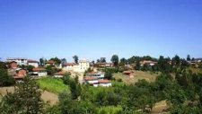 Samsun Asarcık 2