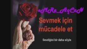 Kurtuluş - ----Güllü Kurtuluş - ----Güllü