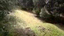 bisikletten düşmeninde bir adabı var