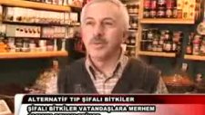 Necmettin Bacanak - Amasya Nival Bitkisel Ürünler