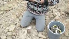 bagda aşılama