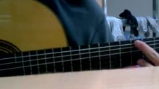 Flamenco