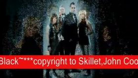 Skillet - Falling Inside The Black Skillet - Falling Inside The Black