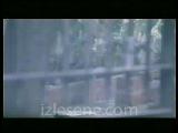 Tarkan ---Hüp---