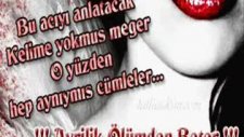 Nerelerdesin