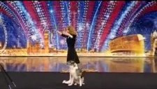 Dünyanın En Akıllı Köpeği