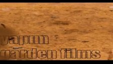 7 pili bitik sinema fragman2