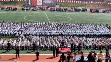 Divane Asik Gibi