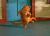 garfield-böğrüm ağrıyor