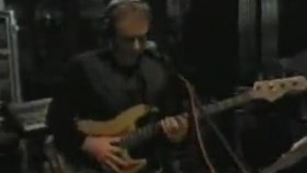 Sting - Shape Of My Heart Live Sting - Shape Of My Heart Live
