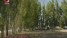 Kaymaz Beldesi Flash Tv-2