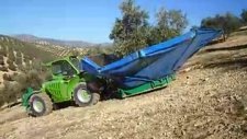 merlo zeytin ağacı silkeleme