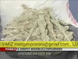 Boluda Uyusturucu Ticareti