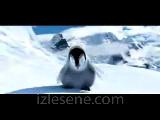 Horon_tepen_sevimli_penguen