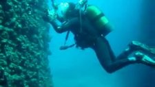 pardusdiving_33