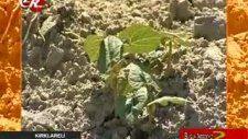 Elmacık Köyü Bahar Şenliği 2009 Tek Rumeli Tv