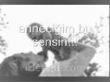 Gerçek Bir Aşkın Hikayesi Duygularınızı Serbest Bı