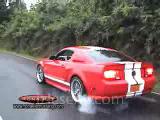 mustang shellby gt 500 or elanor