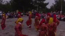 Gülnar Çamlığı
