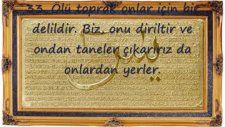 Ebubekir Şatıri Yasin Süresi 33-50