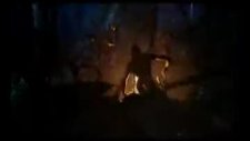 avatar - ormanda gece