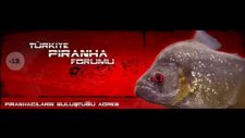 piranhalar.com