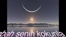 Aynur Dogan