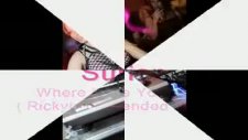 Surian Where Have You Gone Rickylee Extended Remix