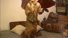 şenkaya ,şenkaya penek koyu