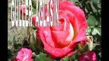 Guller Ağlasın_atilla.video