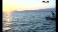 Güllük - Milas / Muğla - 1