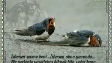 Son Sözüm