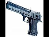 Desert Eagle Gebze