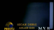 özcan deniz - aslan gibi