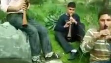 Davullu Zurnalı 'artık Sevmecem Gari'