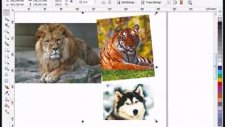 corel draw x4 photo paint photo manipulation