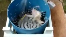 ağda makinası yeni sürüm