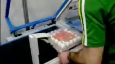 www.starpak.com.tr/yarı oto yumurta paketleme