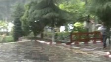 Kemalpaşa Altın Kiraz Festivali Ertelendi