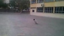 ingiliz pointer eğitim